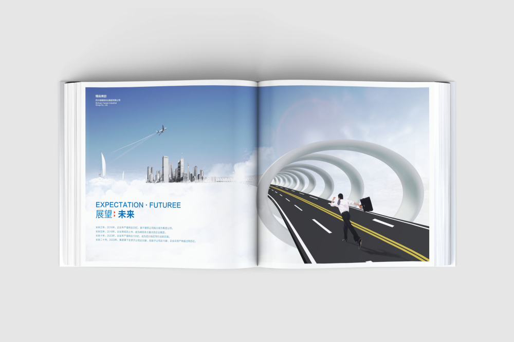 玉树市画册设计